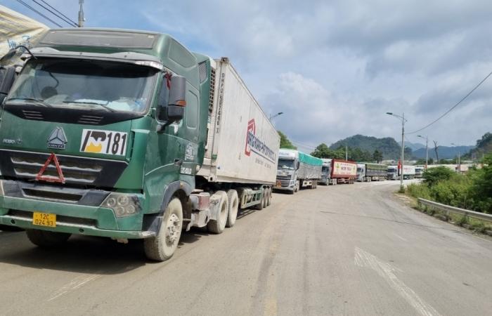 Một con diều hâu đang đậu trên cành cây giữa mặt trăng trung thu gần hồ Randleman, hạt Randolph, bắc Carolina.